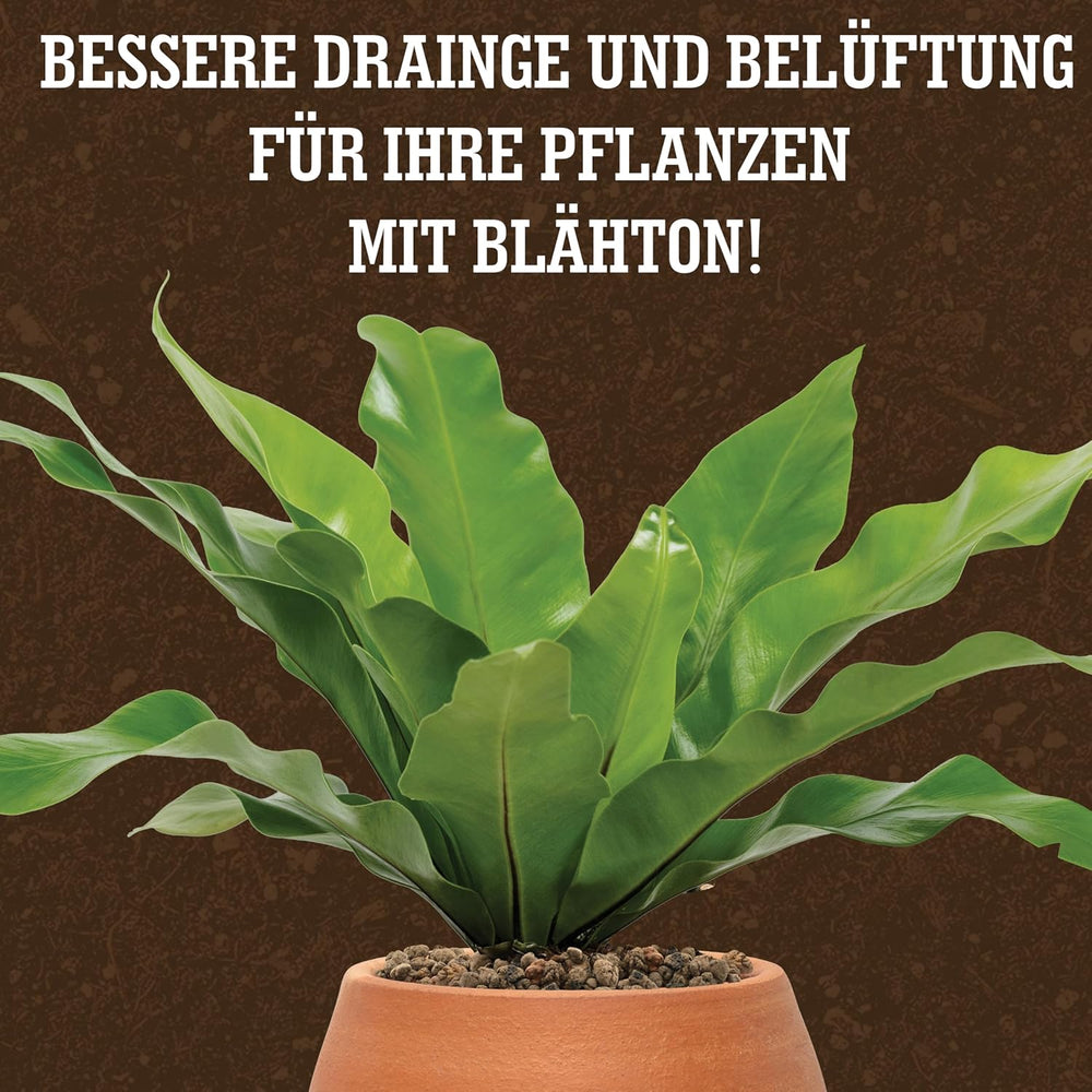 Argilă expandată LERAVA® (1L) – Granule de argilă pentru plante de apartament și hidroponie – Argilă vegetală cu pH neutru pentru drenaj optim – Ideală ca strat de drenaj sau granule de argilă decorative pentru plante