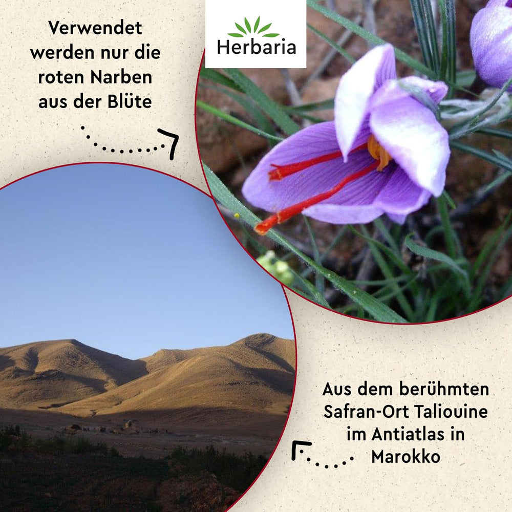 Herbaria Safran-Fäden bio 0,5g im Glas – Bio Safran-Fäden aus dem berühmten Safran-Ort Taliouine in Marokko – Safranfäden in Premium Bio-Qualität – Saffron Premium - Safran première catégorie