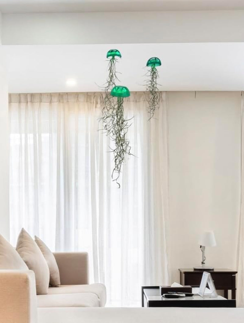 Set Aus DREI Gläsernen Quallen-Luftpflanzen Grün Tillandsia Epoxy Luftpflanzen.