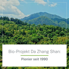 Ceai verde organic Pinhead Gunpowder vrac 1 kg – Ceai verde de înaltă calitate, organic, din China – Gust ușor afumat – Pentru gurmanzi și cunoscători de ceai – Mycupoftea