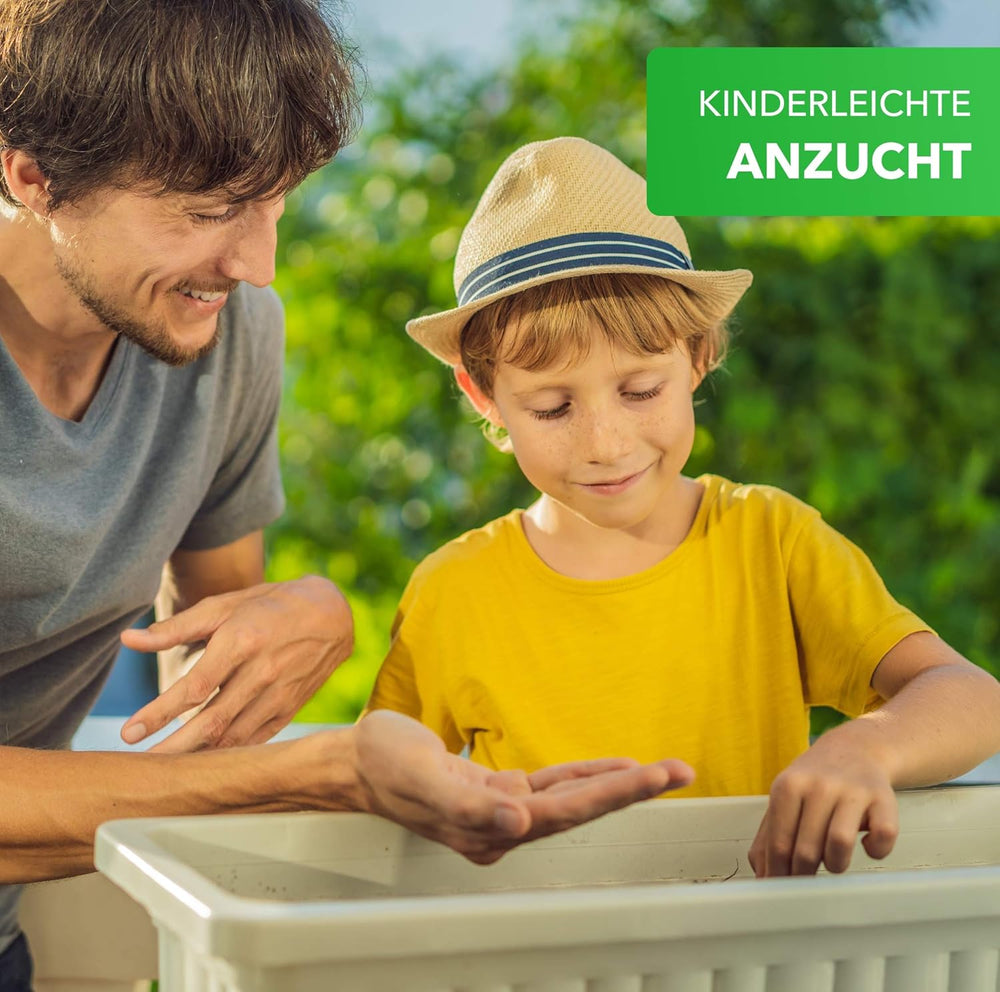 Mix pentru cutii de balcon Magic of Nature - Semințe de 10 g - Plante prietenoase cu albinele - Ușor de utilizat - Paradisul albinelor - 5 specii cultivate native - Potrivit pentru cutii de flori și jardiniere