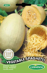 Zucchini VEGETABLE SPAGHETTI, Mehrfarbig, EC4021