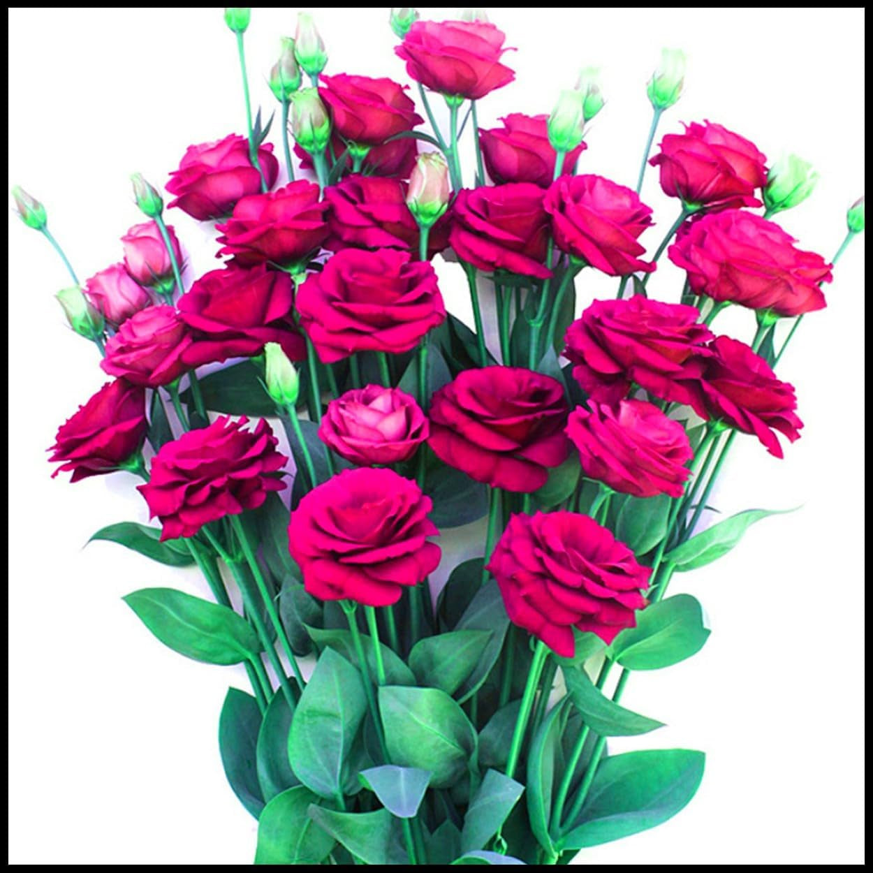 Amestec de bulbi de flori, Bec magic misterios, Plantare rezistentă, Bulb de flori perene rezistent la iarnă, Bulbi rezistenți - 3 bulbi de orhidee