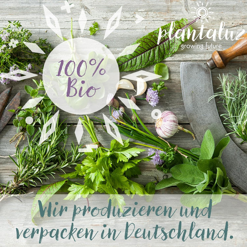 Set de semințe premium organice Plantaluz P04 – Set de semințe mediteraneene pentru legume și plante aromatice cu 10 soiuri pentru grădină, balcon și straturi înalte – incl. bețe de plantare FSC – Semințe organice cu polenizare liberă și fără OMG