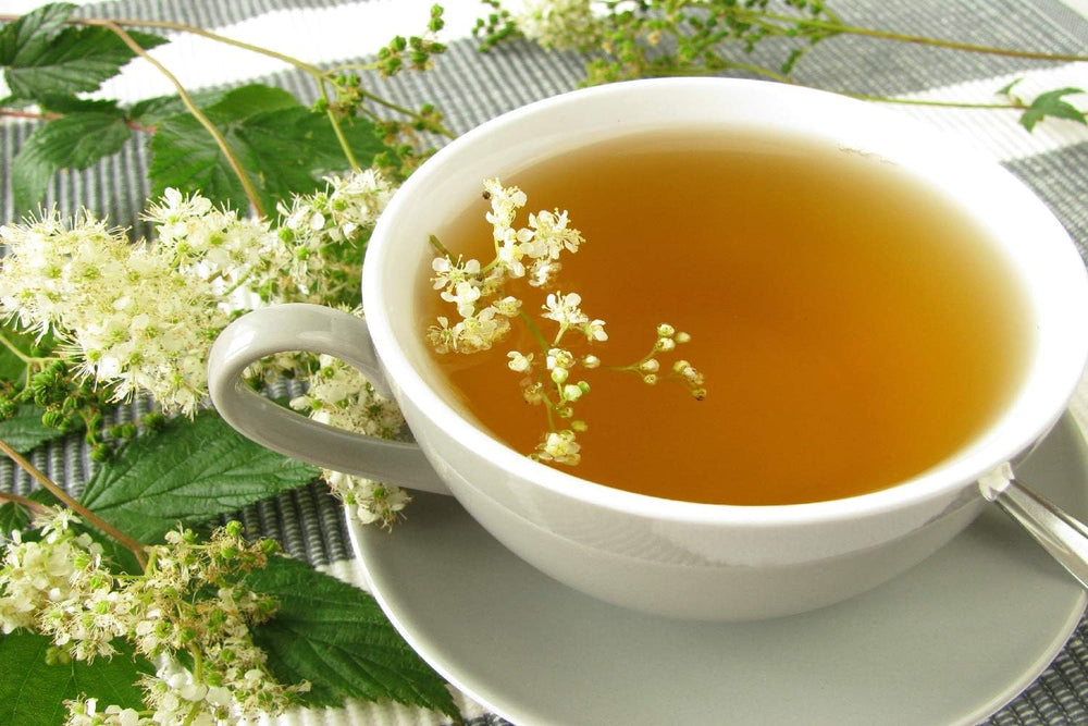 SAFLAX - Heilpflanzen - Echtes Mädesüß - 500 Samen - Mit Keimfreiem Anzuchtsubstrat - Filipendula Ulmaria