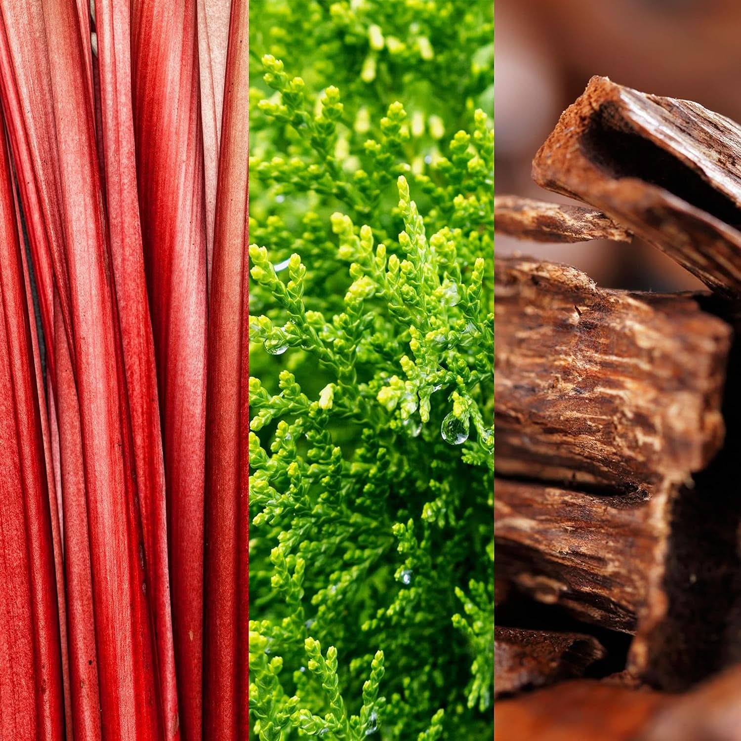 JOOP! Go! Gel de duș pentru bărbați, cu parfum lemnos-fructat, 150 ml Duș și baie Naty Shop