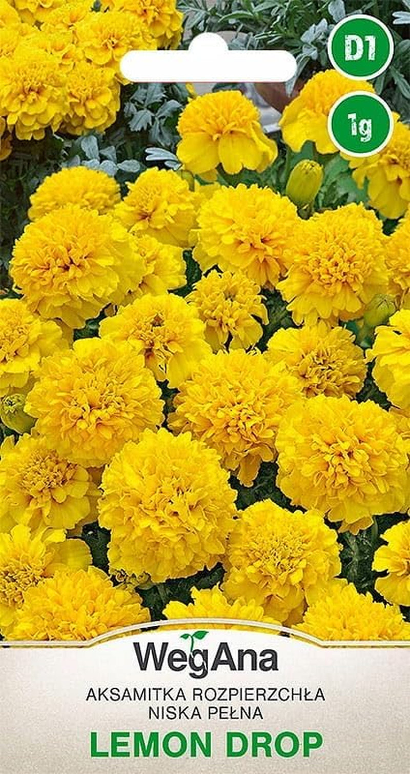 Semințe Cosmos Sensation Mix 1g, Mix Cosmos Flori de vară, Plante de grădină Plante de balcon, Semințe de flori