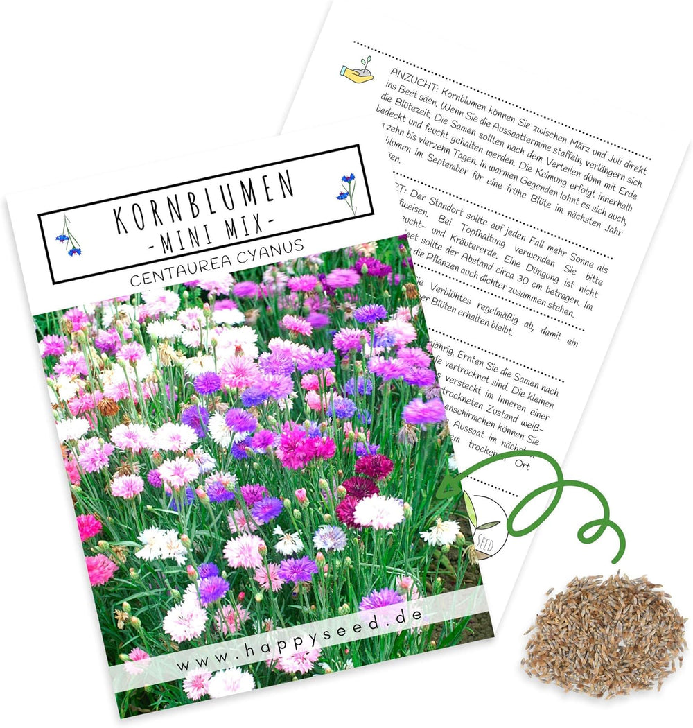 Semințe de albăstrele (Centaurea cyanus) - Flori frumoase și vibrante, cu o perioadă lungă de înflorire, pentru o pajiște cu flori colorate (Mix, 1000 de semințe, 80 cm)