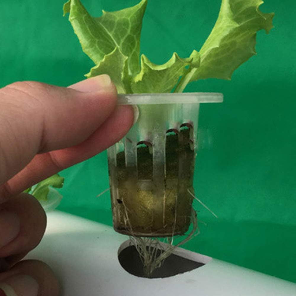 Kit de creștere hidroponică cu 1 strat cu 54 de locuri de plantare, sisteme de creștere a plantelor fără sol din PVC cu pompă de apă, kituri de creștere hidroponică pentru cultivarea legumelor și fructelor pe balcoane, grădini, terase și curți