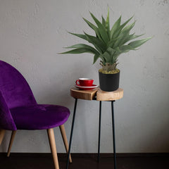 Decovego Aloe Vera Kunstpflanze 54 Cm Künstliche Plastik Pflanze Im Topf Kunstbaum Künstlich Pflanze Zimmerpflanze Sukkulente Innendekoration Deko