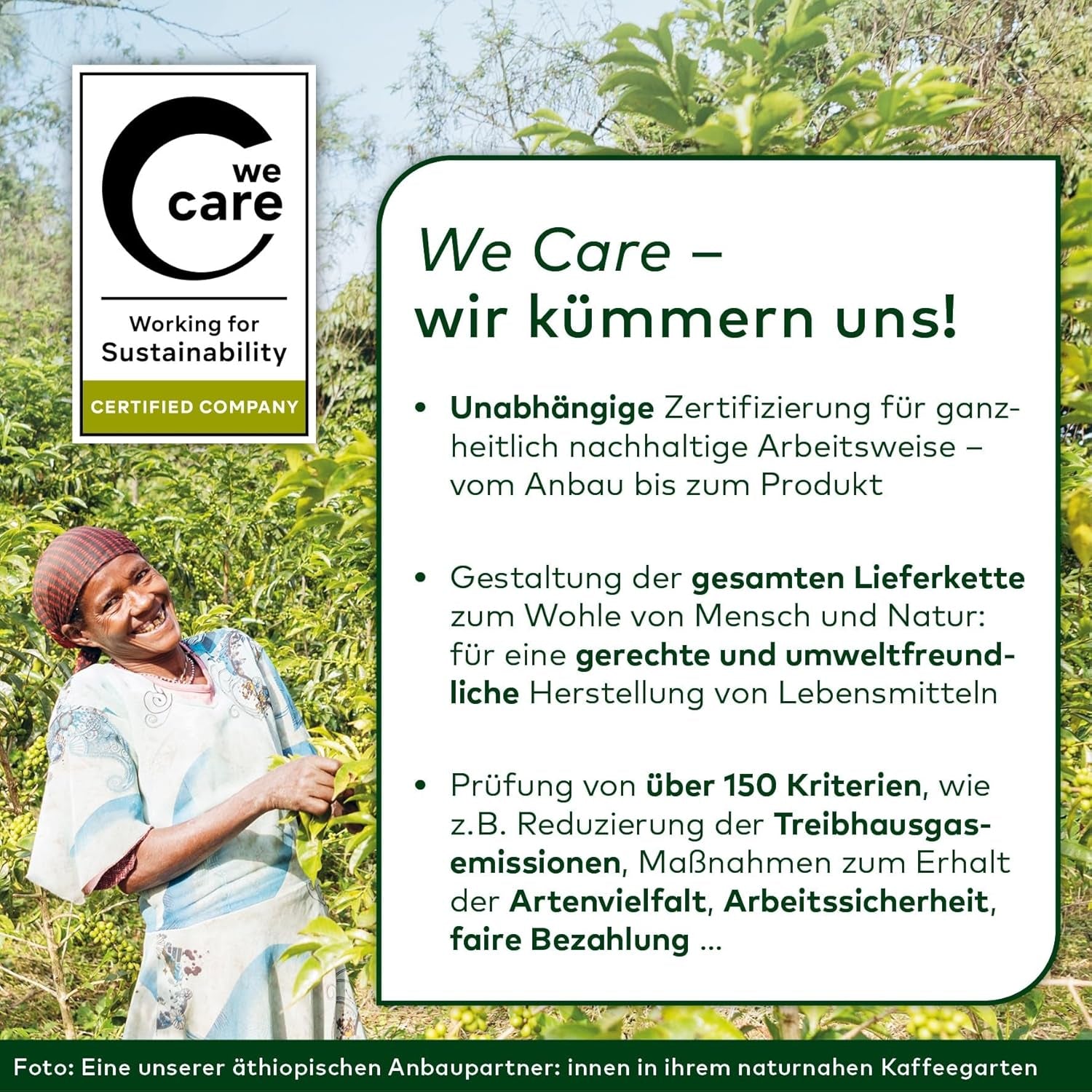 Lebensbaum Garam Masala, Bio-Gewürz zum Würzen von Currys, Reis und Geflügel mit würzig-warmer und angenehm pfeffriger Note, 40 g