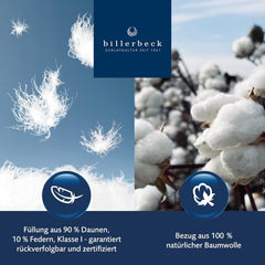 Plapuma din puf Billerbeck - E04 Gold Edition - Plapuma pentru vara - 135 X 200 Cm plapuma cu puf adevarat - Nivel de caldura usor de vara Plapumi si pilote Naty Shop