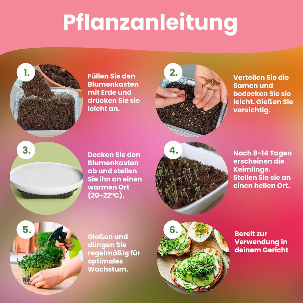 LERAVA Kräutersamen Set – 12 Sorten: Basilikum Samen, Petersilie Samen, Koriander, Oregano & mehr – Saatgut für frische Kräuter im Garten oder Topf, Premium Samen für Küche & Balkon - Samen set, seeds