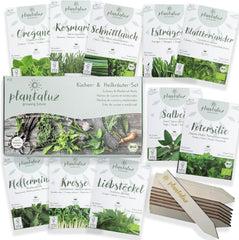 Set de semințe premium organice Plantaluz P03 – Set de semințe pentru plante culinare și medicinale pentru grădină, balcon și interior – incl. bețe de plantare FSC – Semințe organice polenizate liber, netratate și fără OMG-uri