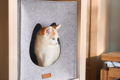 Pături & Mobilier, Animale de companie, Peșteri & Case, Pisici, Paturi pentru pisici, Pisici - culcusuri, saltele