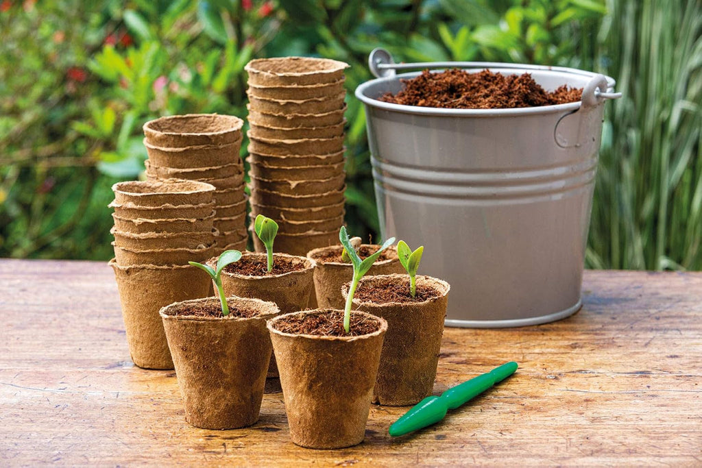 Ghivece pentru răsaduri de cocos Romberg 10091100 (ghivece pentru plante) Classic - 6 cm, rotunde, fără turbă, biodegradabile, 26 bucăți