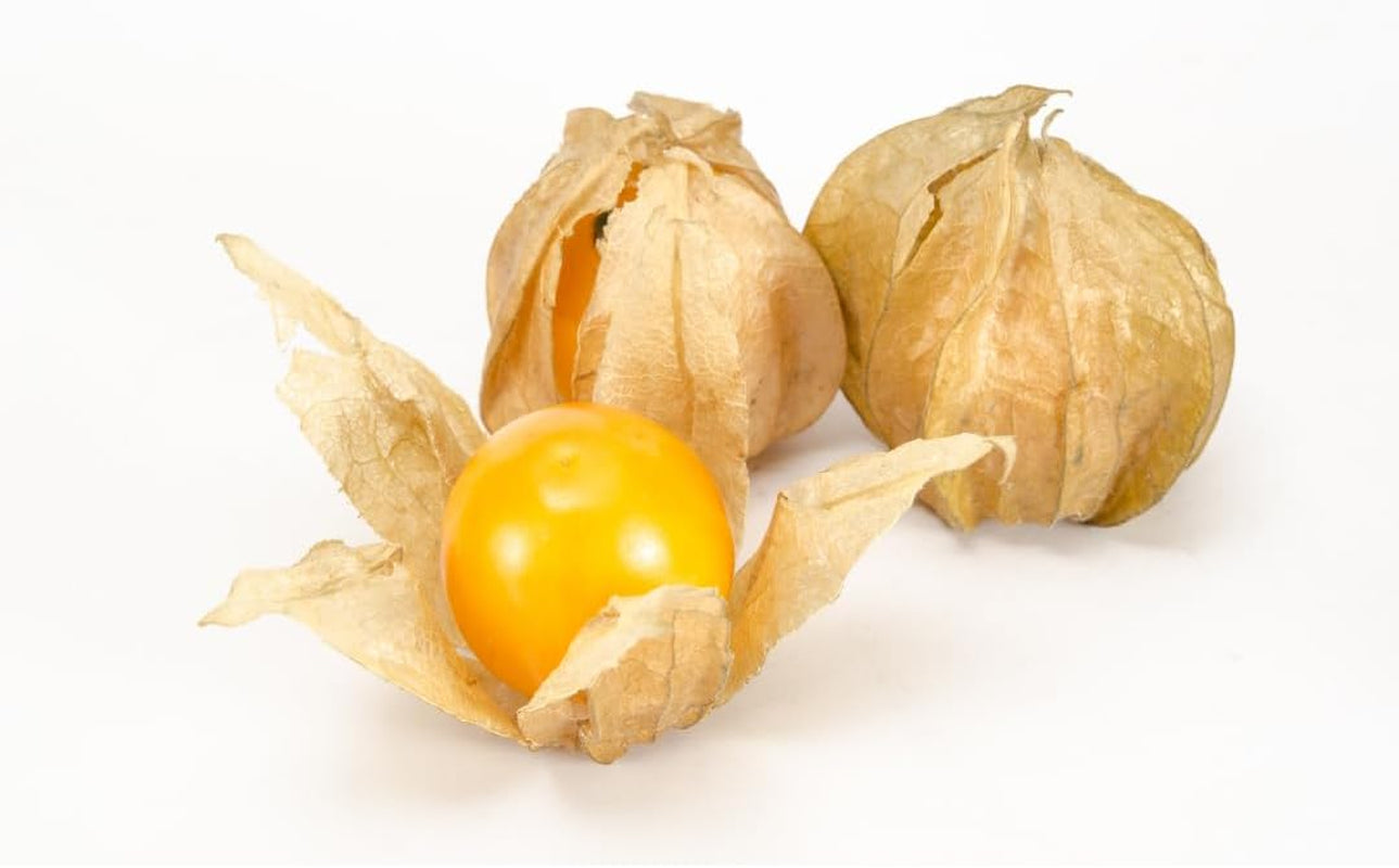 Gelbe Stachelbeere - Obstpflanze Auf Blumentopf 20 - Baum – 2 Jahre Anbau Italien