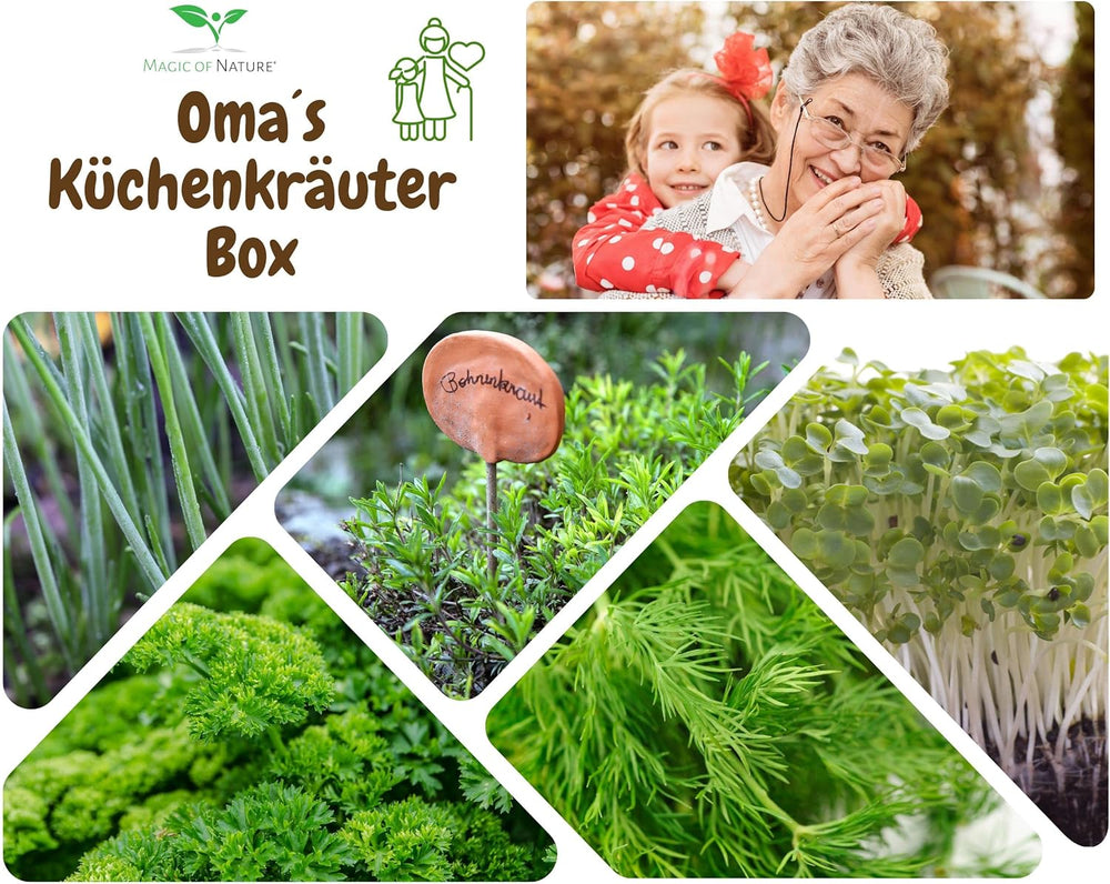 Magic of Nature Oma`s Küchenkräuter Box - Anzuchtset - 5 Sorten frische Kräuter Samen - Zum Selberzüchten oder zum Verschenken