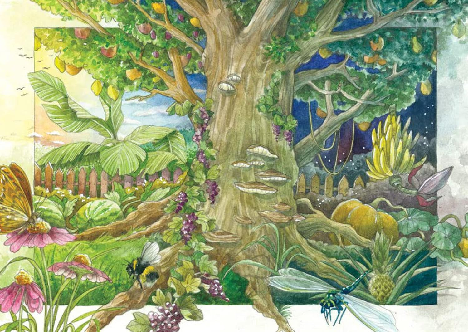 Heilige Druiden-Pflanzen (Bio) - Samen-Geschenkset Mit 4 Magischen Pflanzen Der Keltischen Druiden