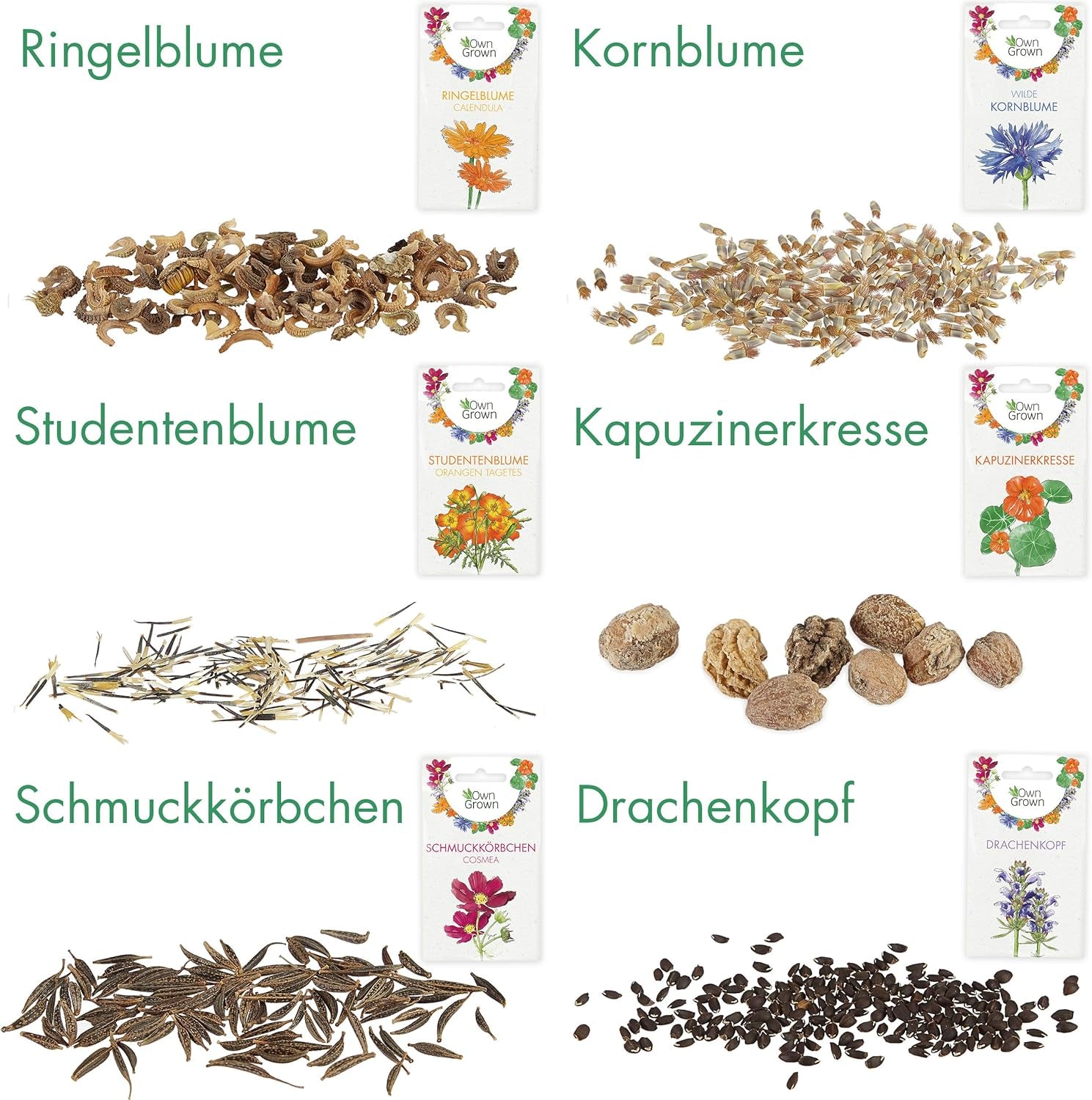 Essbare Blumen Samen Set : Delikatess Blüten Blumensamen Set mit 6 Sorten Blumen Saatgut – Essbare Blüten Samen – Essbare Blumen für Torte – Essbare Blüten Tortendeko – Blumen Essbar von OwnGrown
