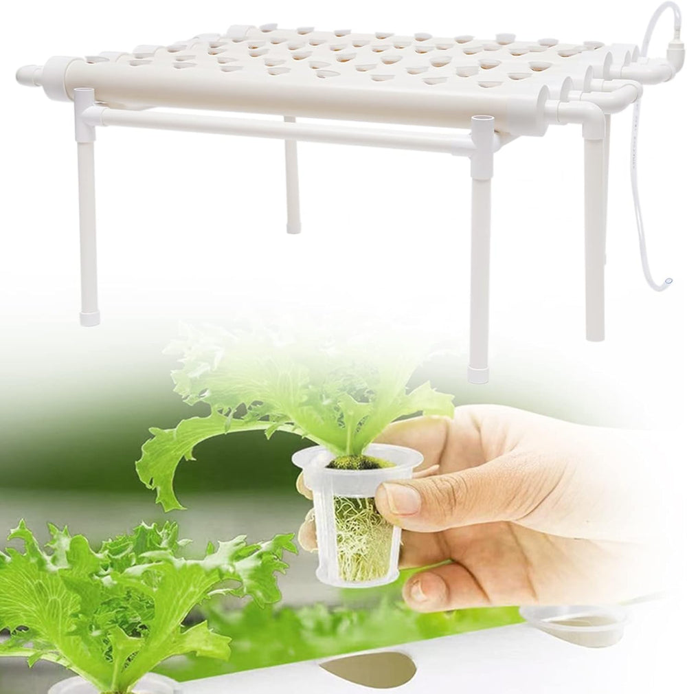 Hydroponische Systeme Grow Set Hydrokultur Plant Vegetable Hydroponic Pflanzen BewäSserung System Garten Kit Garden Tool Pflanze Sites Growing Hydroponics Hydroponisches Anzuchtsystem 54LöCher 6Rohr