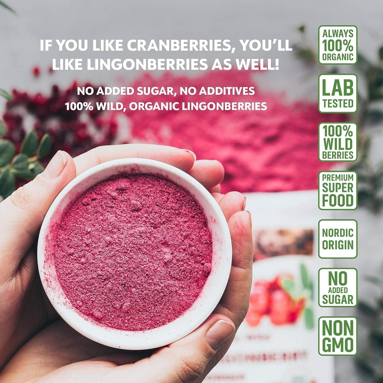 LOOV pulbere organică de afine, fabricată din afine sălbatice 100% întregi, liofilizate, recoltate în pădurile din nordul Europei, 113 g, fără zahăr adăugat Produse deshidratate Naty Shop