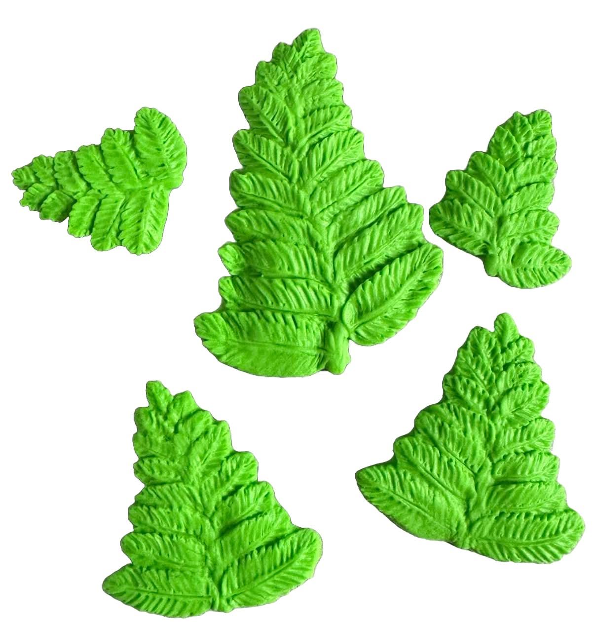 Set 5 decoratiuni comestibile din zahar, Frunze de Feriga Decoratiuni din Pasta de Zahar Nati Shop